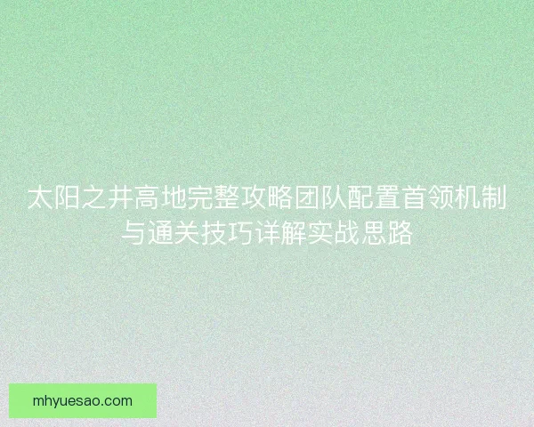 太阳之井高地完整攻略团队配置首领机制与通关技巧详解实战思路