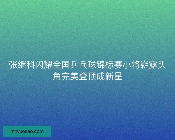 张继科闪耀全国乒乓球锦标赛小将崭露头角完美登顶成新星