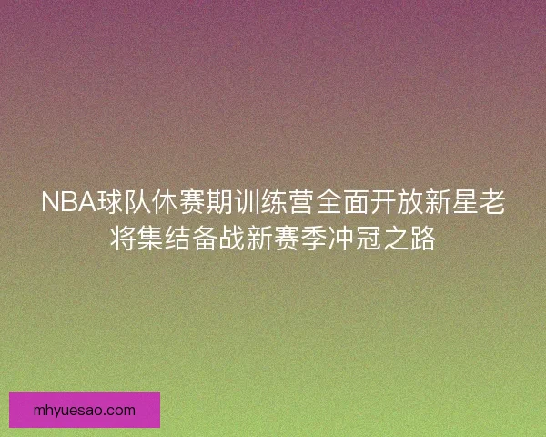 NBA球队休赛期训练营全面开放新星老将集结备战新赛季冲冠之路